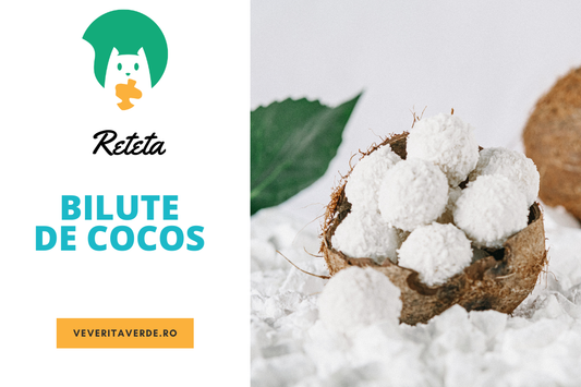 Reteta: Bilute de cocos fara gluten