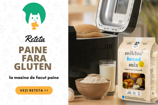 Reteta: Paine fara gluten la masina de facut paine